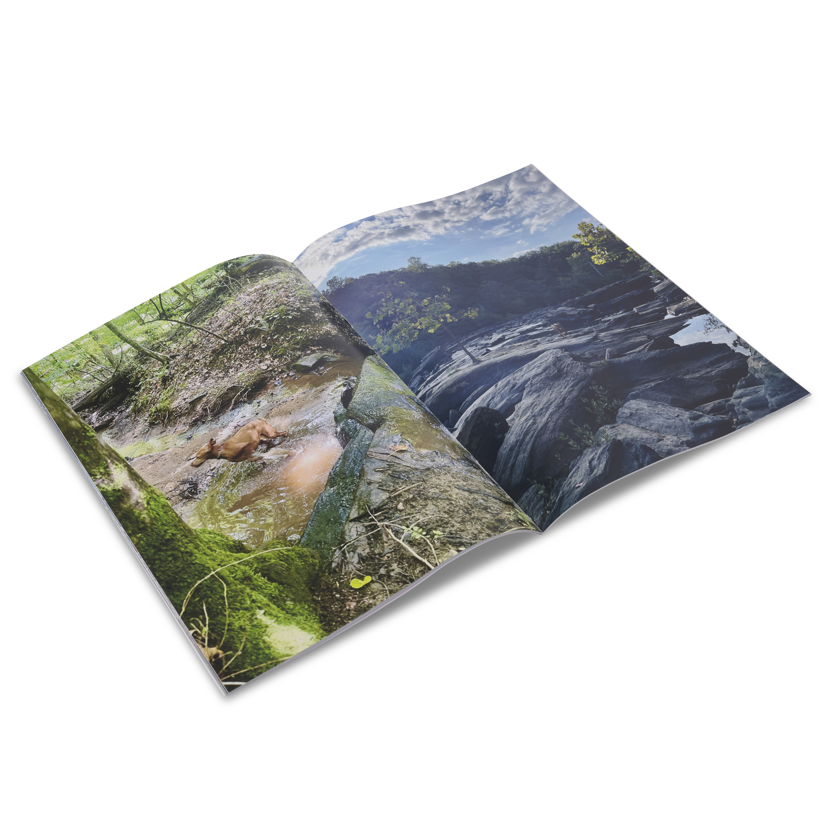 Monica Kim Garza - Good old raisins and peanuts – Bild 3