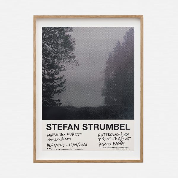 Stefan Strumbel - Where the Forest Remembers (poster)